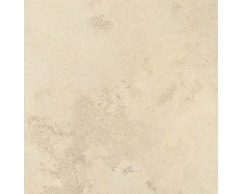 SCHULTE DecoDesign ExpressPlus douchewandpaneel, steenlook kalksteen, 255 x 150 cm, EP1901525 604