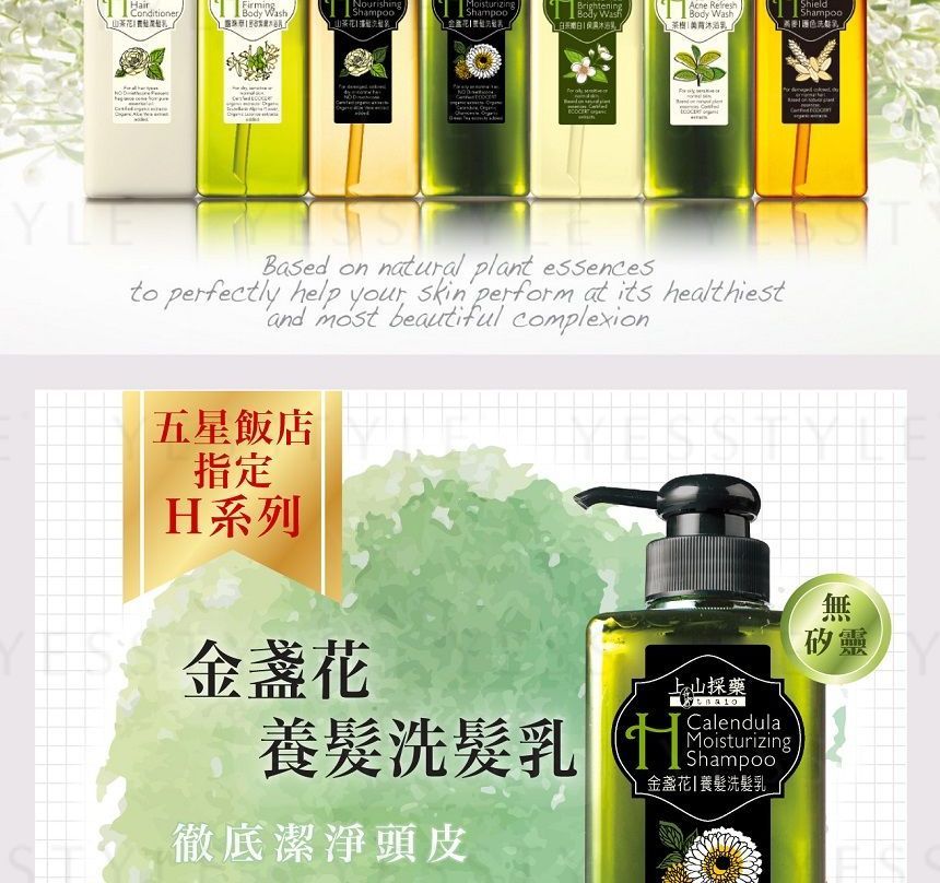 SOFNON - Tsaio H Shampoo