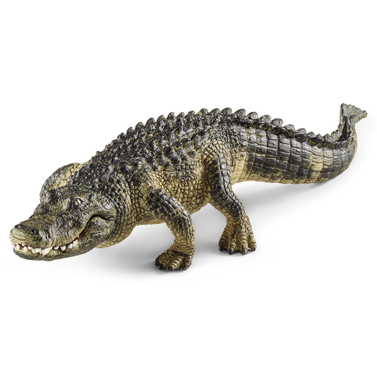 Schleich Alligator multicolore