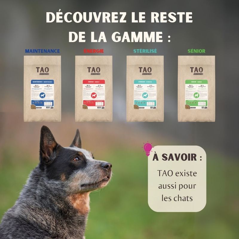 Nutrivet TAO Junior Croissance poulet
