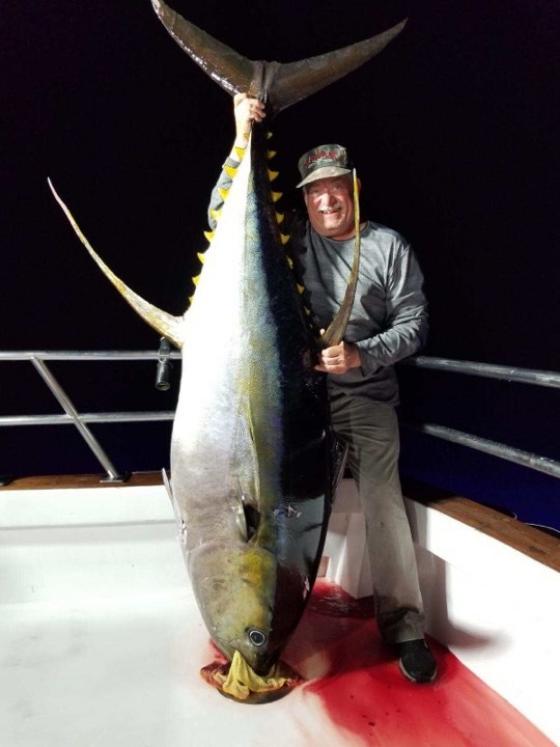 Blank Silverback 80lb 2.38 m 80lb