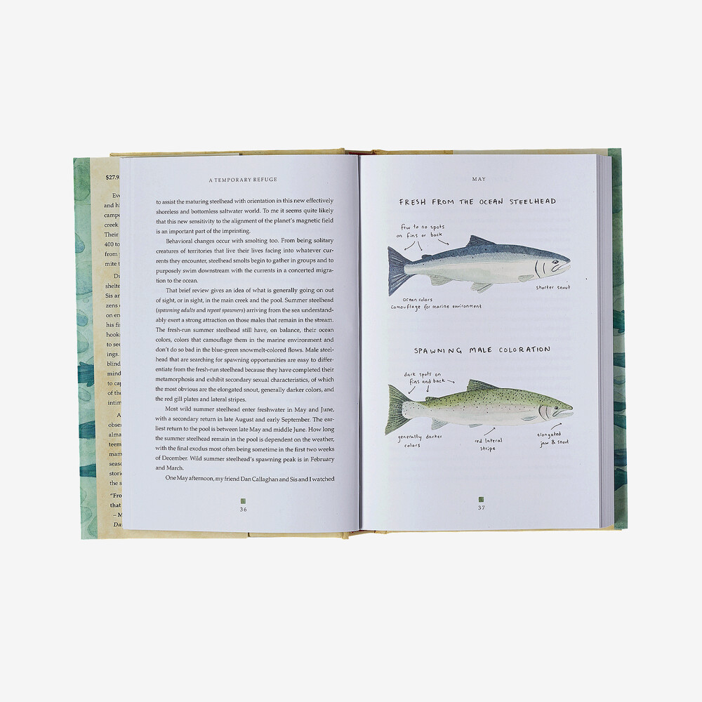 Ein vorübergehender Zufluchtsort: Vierzehn Saisons mit wilden Sommer-Stahlkopfforellen von Lee Spencer (gebundenes Buch)