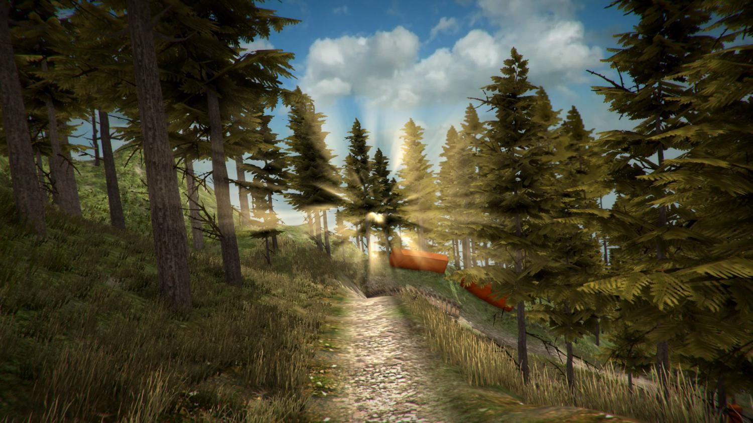 MTB Downhill Simulator- PC