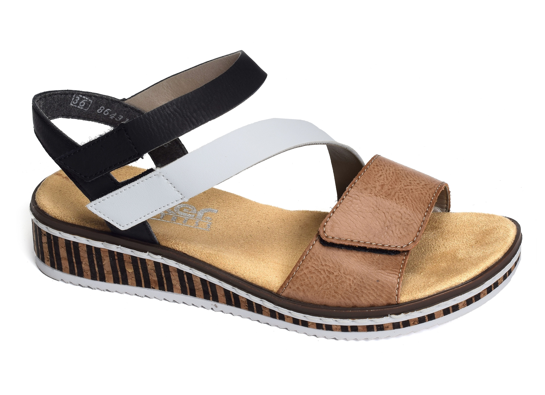 V3670 blanc marron