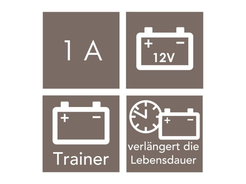 AEG Automotive Batterieladegerät MB 1.0 Mikroprozessorgesteuerter Batteriepulser für 12 V KFZ-Bleibatterien