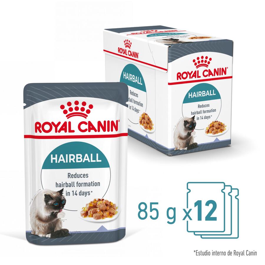 Ração Royal Canin Intense Hairball para gatos