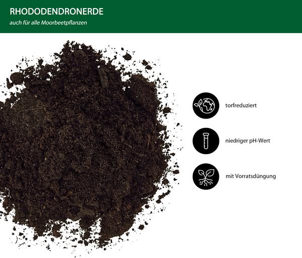 Dehner Rhododendronerde, 57 x 40 Liter