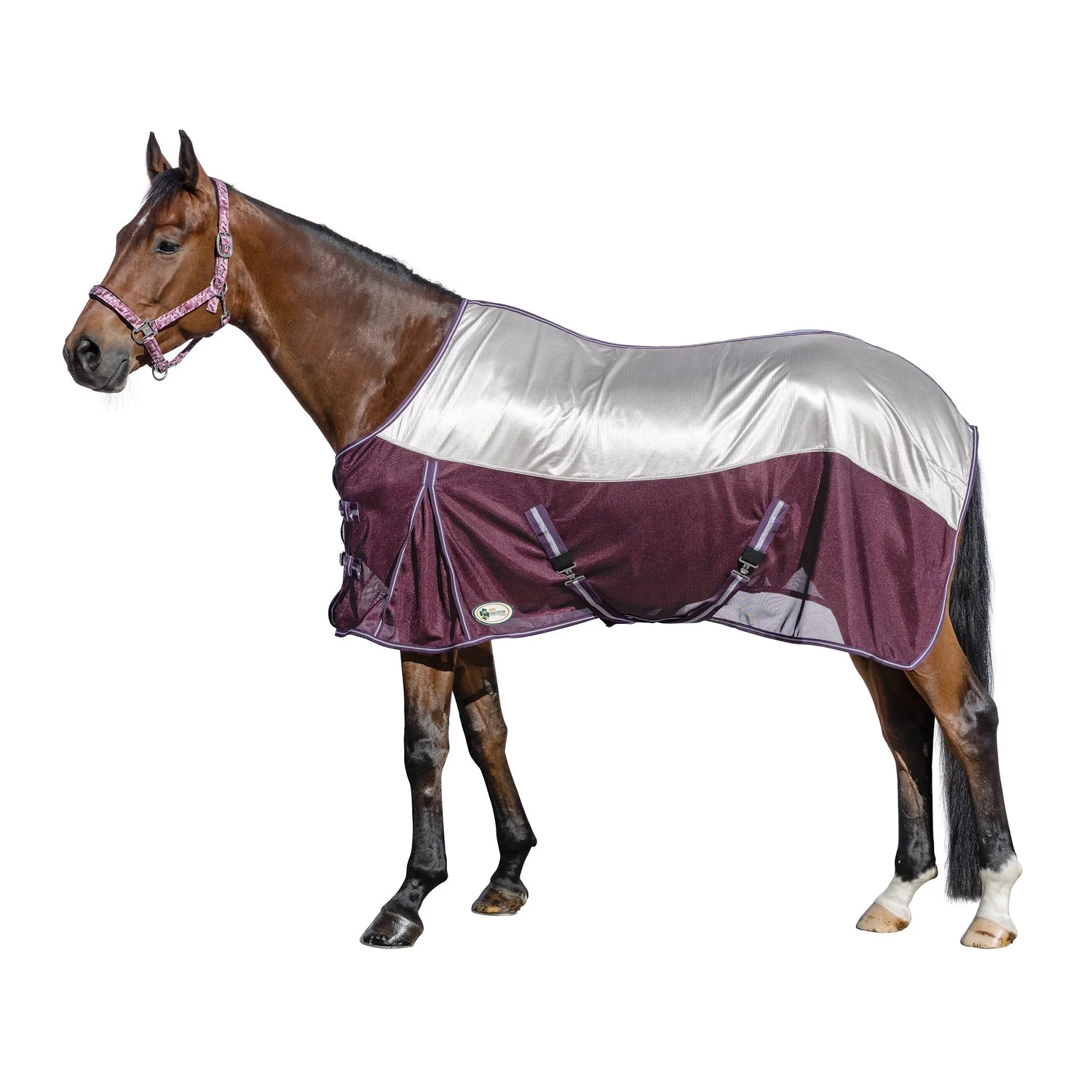 IRISh INNOVATION Fliegendecke Cooler - silver/plum