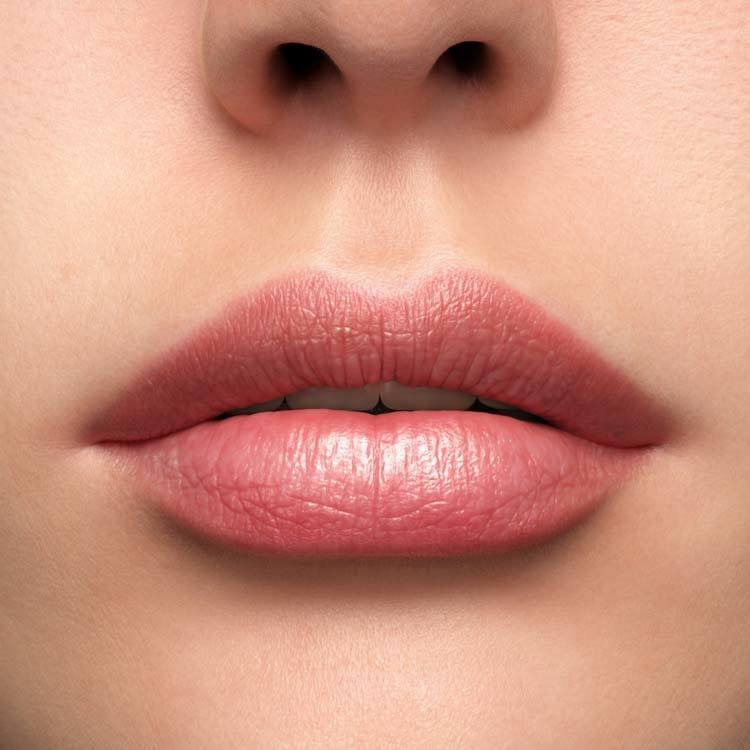 Lancôme L'Absolu Rouge Lipstick Cream 00 Moi Moi Moi 3,4g