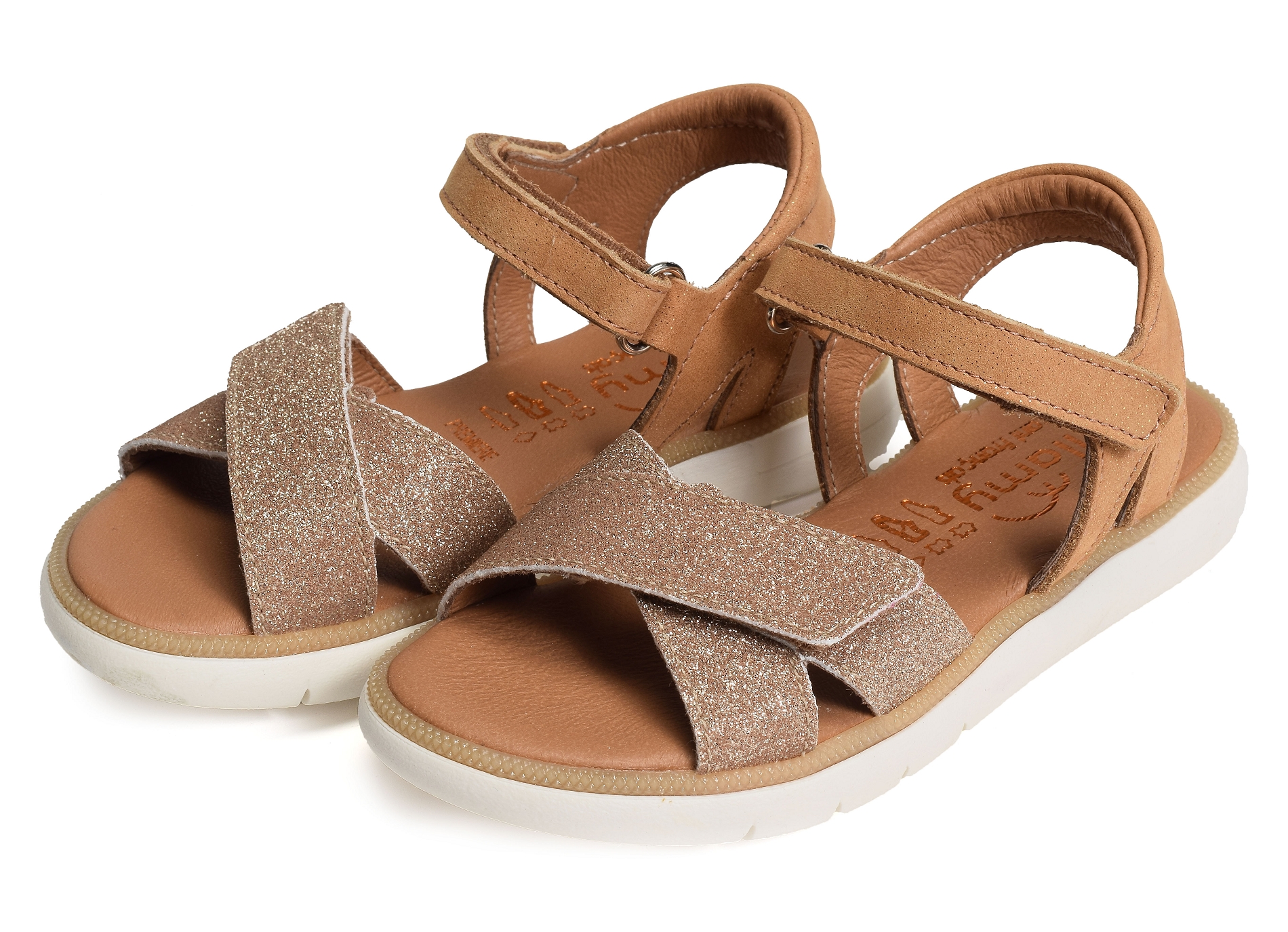 Evi camel