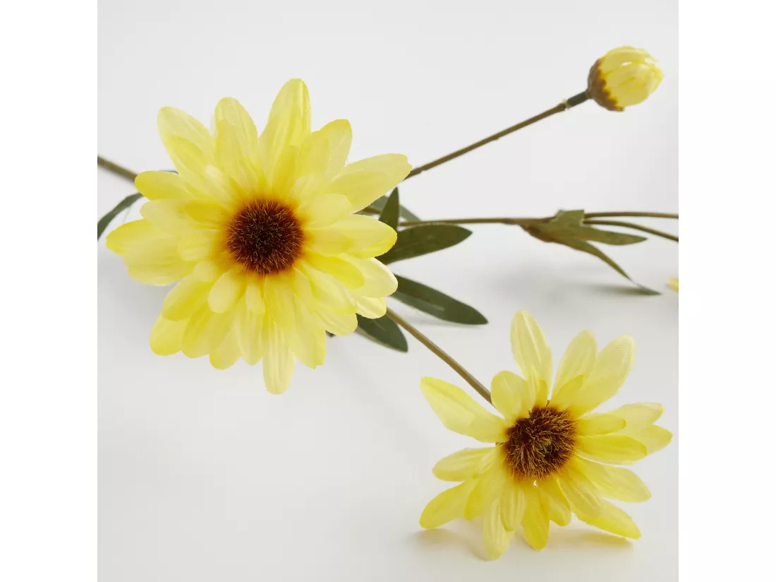 Fleur Margareto Jaune Moyen 48 x 15 x 8