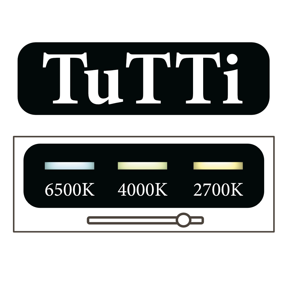 Sanicare Tutti LT1 spiegel met verwarming, verlichting, LED strook en touch bediening 60cm