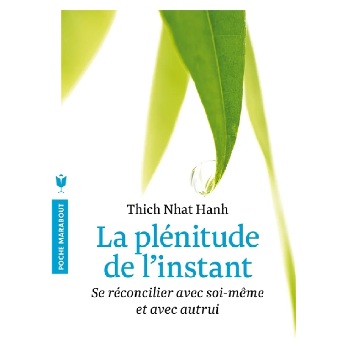 La plénitude de l'instant : vivre en pleine conscience · Occasion