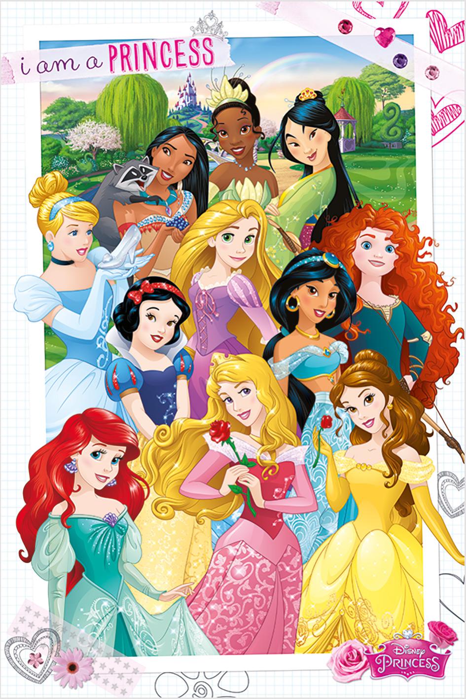 POSTER DISNEY PRINCESSE 61X91.5CM