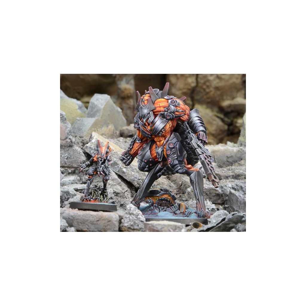 Infinity - Combined Army - Avatar