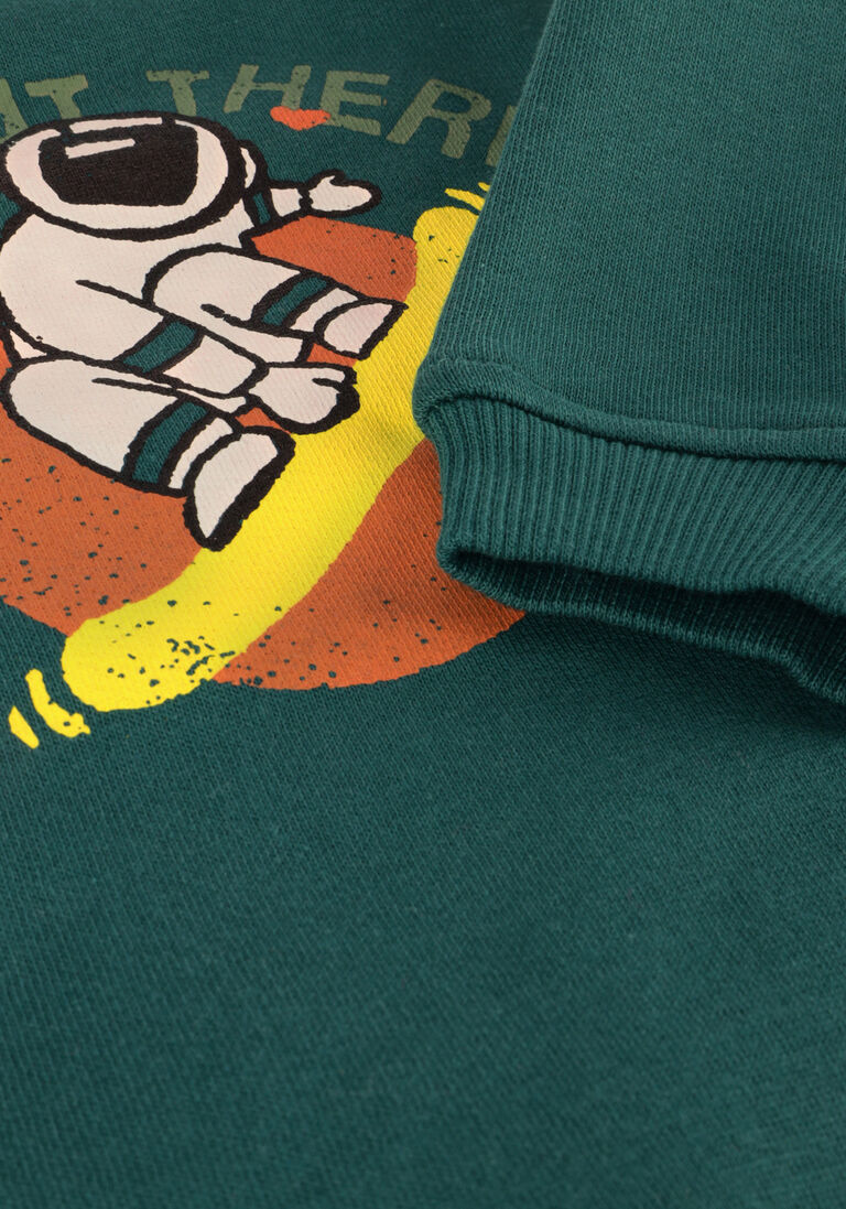AMMEHOELA groene ammehoela sweater am.rocky.53