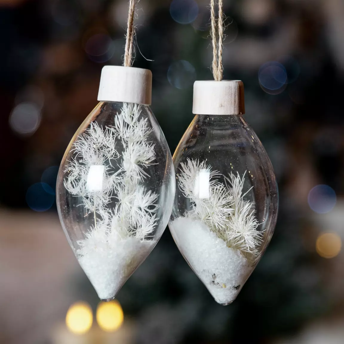 Lot de 2 suspensions en verre (H13 cm) Roseaux Transparent