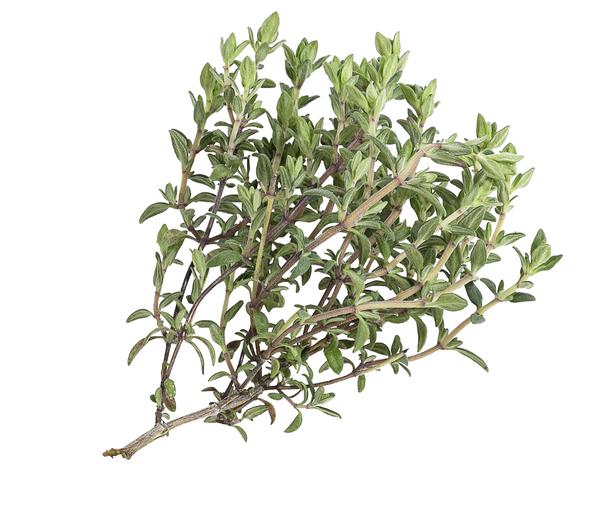 Orangenthymian