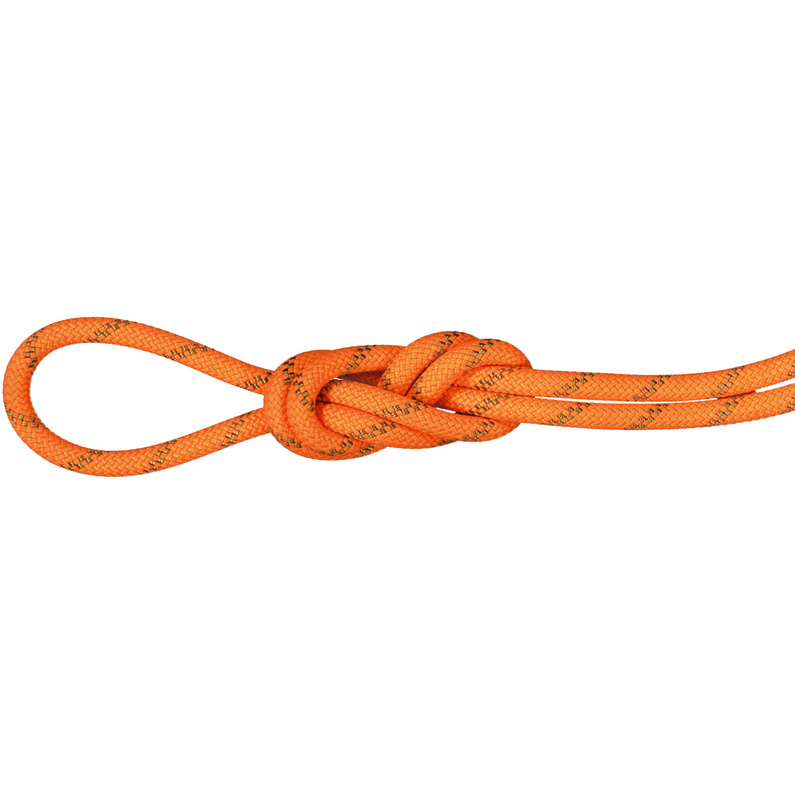 Mammut 8.0 Alpine Dry Kletterseil