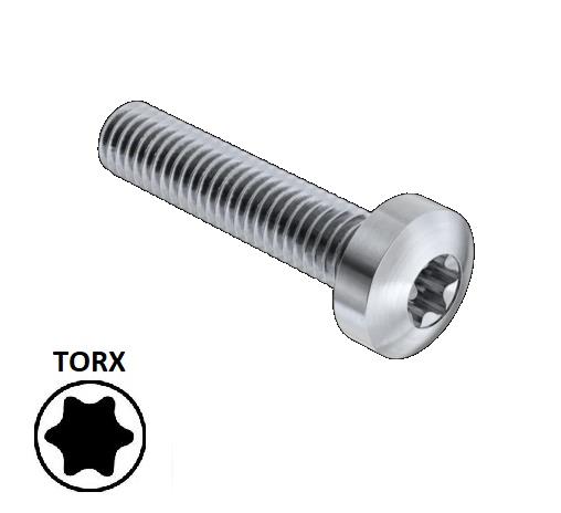 Side Shore Vis (Slot Box) - Inox A4 - Torx - M4 / 17 mm