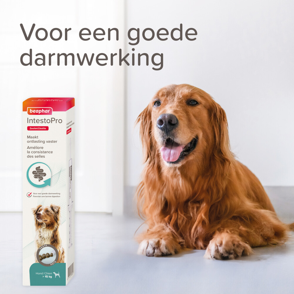 Beaphar IntestoPro Pasta Hond vanaf 15 kg20 ml