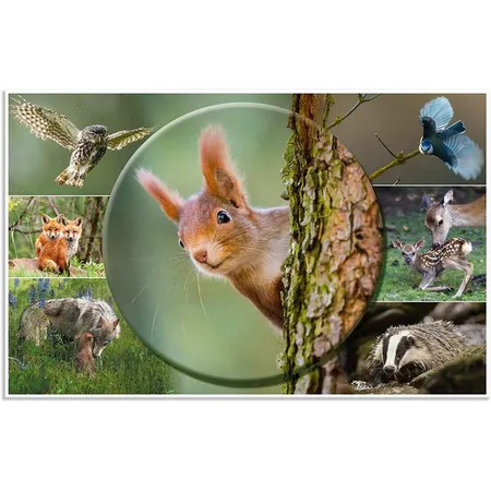 HERMA 19647 Schreibtischunterlage Tierwelten Waldtiere, 55 x 35 cm, rutschfest