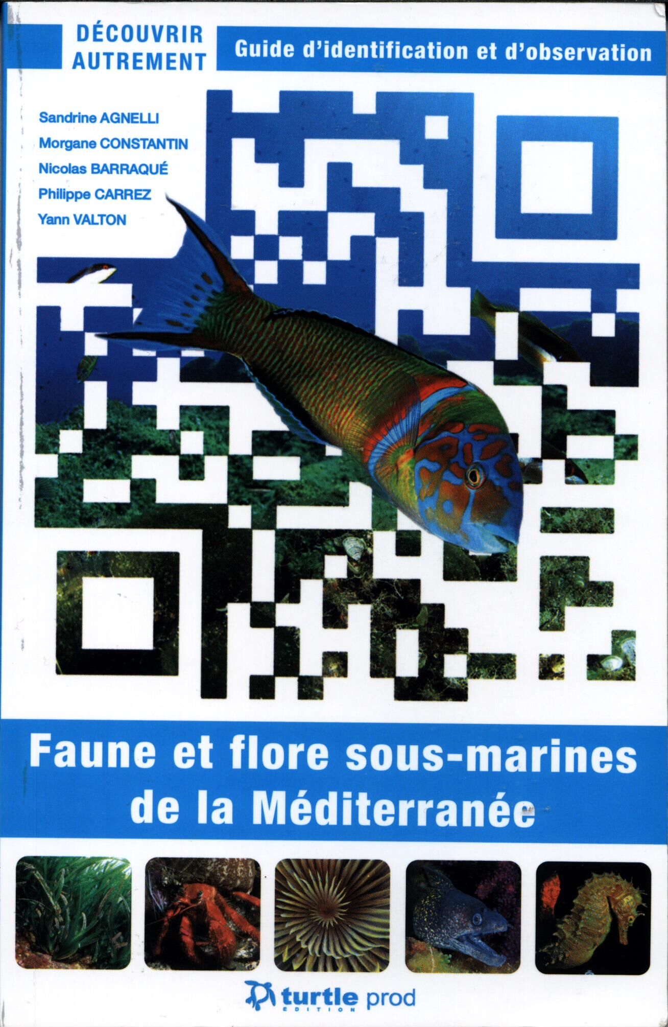 GAP - FAUNE FLORE SOUS MARINES DE LA MEDITERRANEE