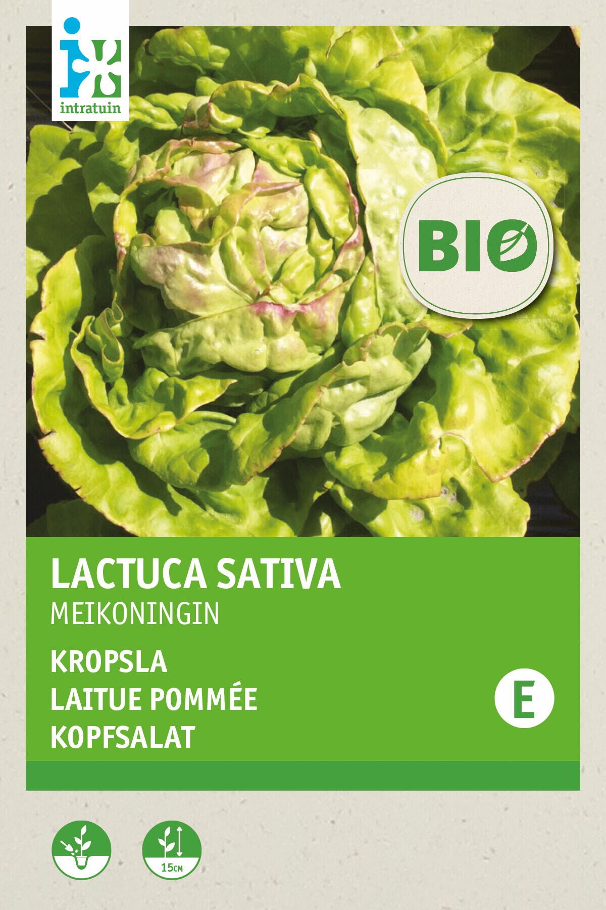 Biologische Intratuin groentezaad Kropsla (Lactuca savita 'Meikoningin')