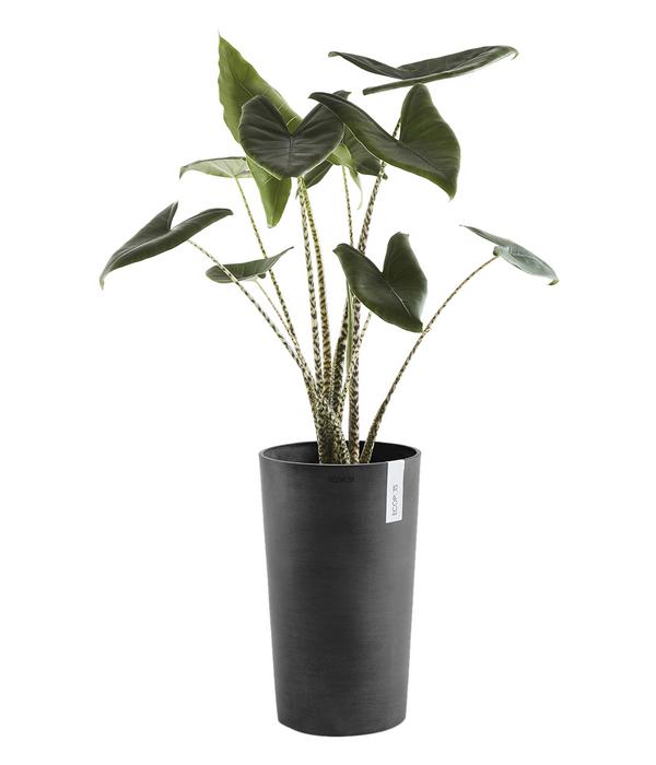 Ecopots Kunststoff-Topf Amsterdam hoch, rund