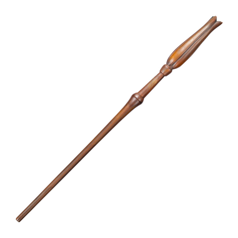 Harry Potter Loena Leeflang toverstok