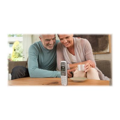 Gigaset E560 - téléphone sans fil - argent