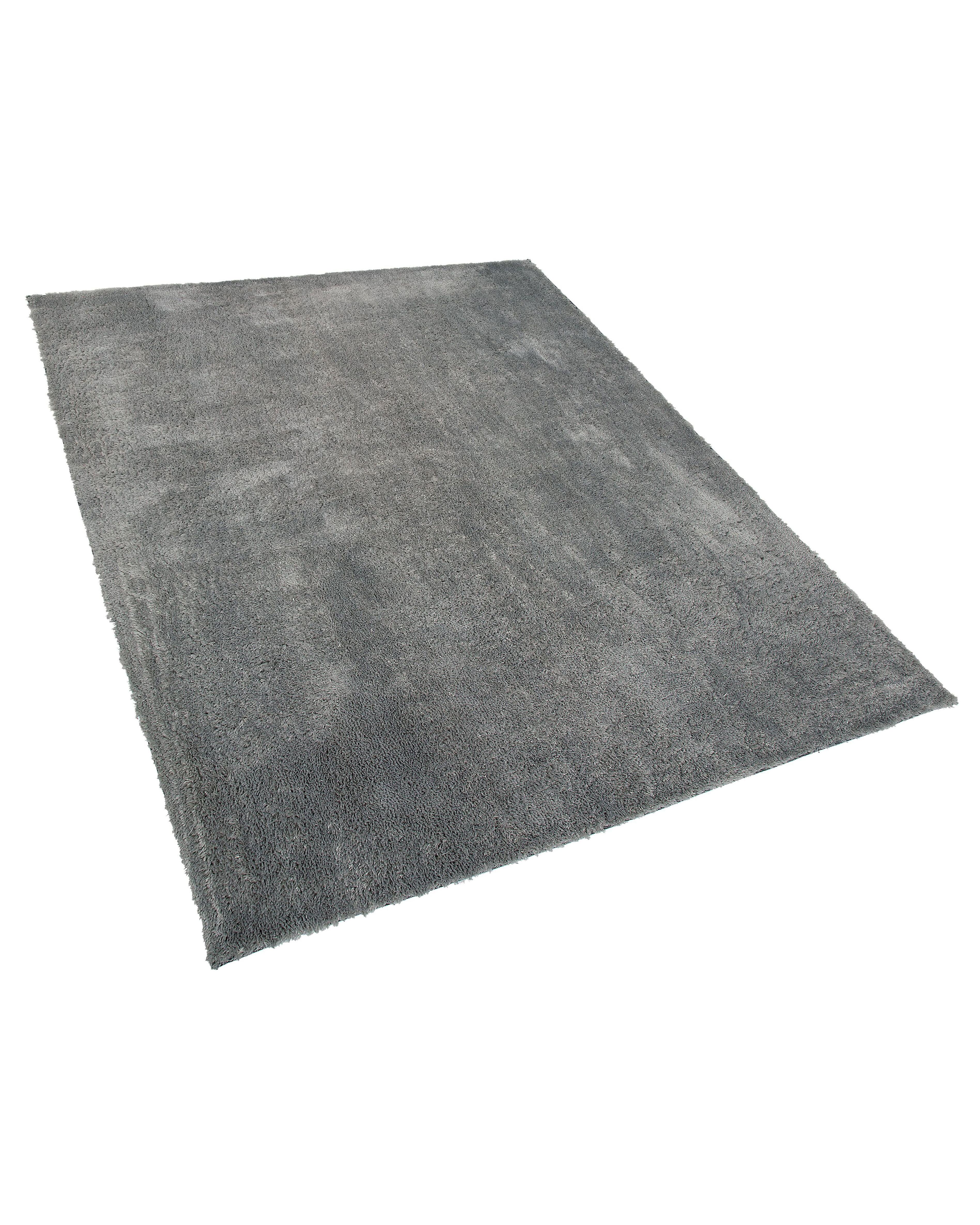 Hoogpoligvloerkleed EVREN Lichtgrijs 200 x 300 cm