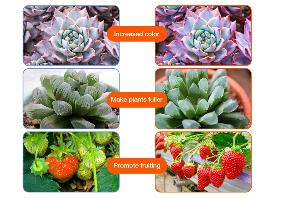 (3m) 180-LED's USB Leuchtstreifen Pflanzen Licht Full Spectrum Grow Light Wachstumslicht für Zimmerpflanzen Gewächshaus (IP65)