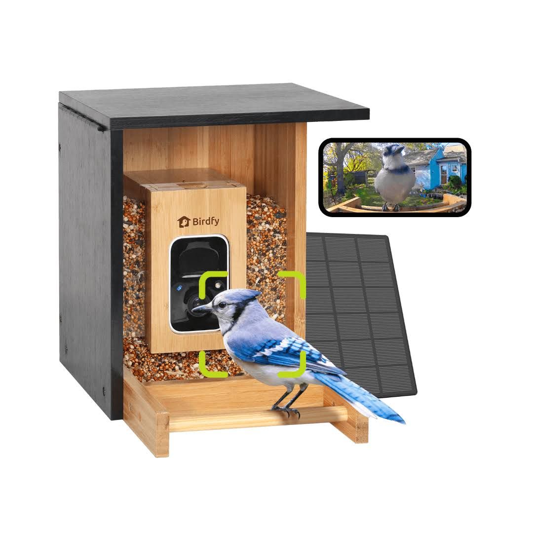 Birdfy Feeder Bamboo Mini Vogelfutterhaus mit Kamera für Garten & Balkon