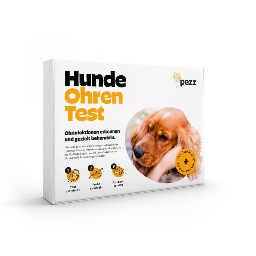 Hunde Ohreninfektionstest