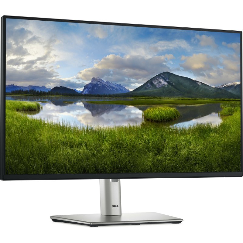 DELL Pro Plus P2425HE écran plat de PC 60,5 cm (23.8