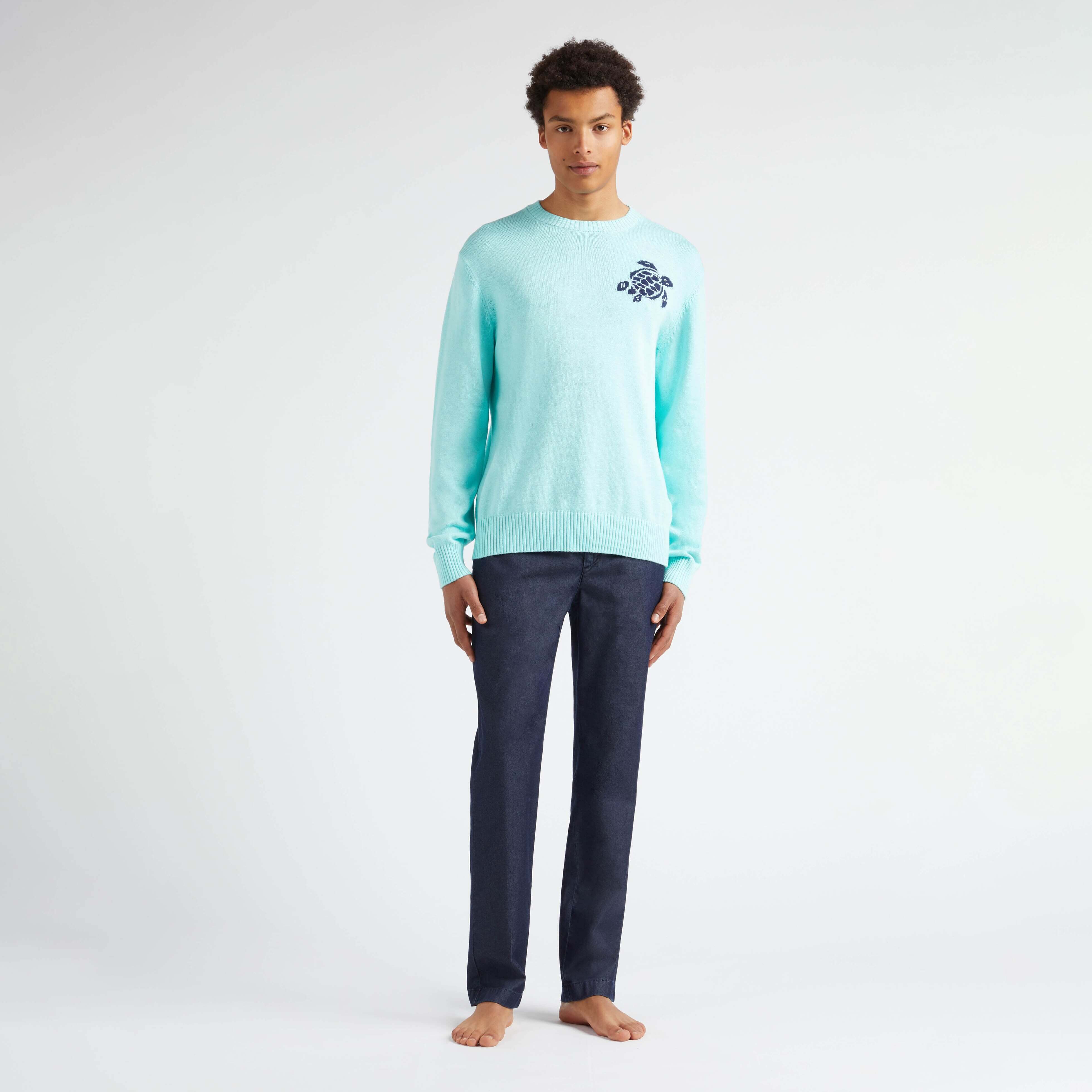Pullover en Coton et Cachemire Ras-du-Cou Homme Tortue