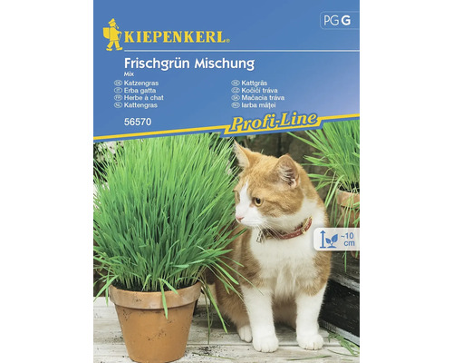 Gemengde Verse Groene Mix Kiepenkerl Open-pollinated Seeds Bloemzaden