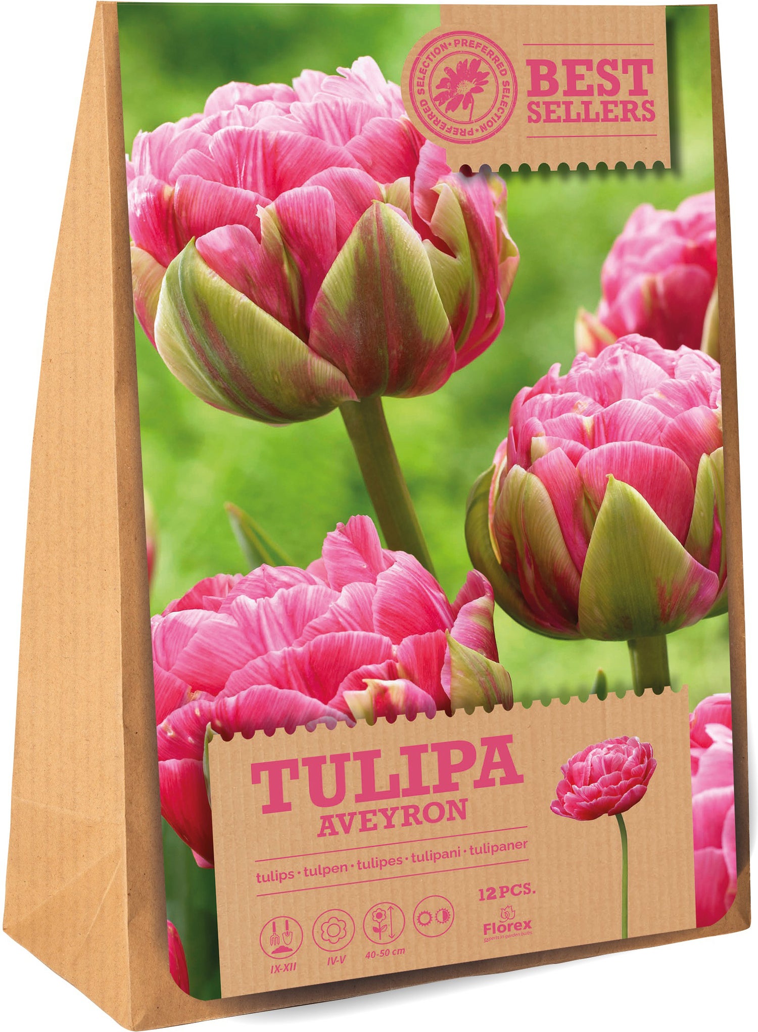 Florex bloembollen tulp (Tulipa 'Aveyron') 12 stuks