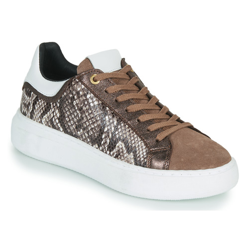 JB Martin - HIBISCUS - MIX PYTHON MARRON