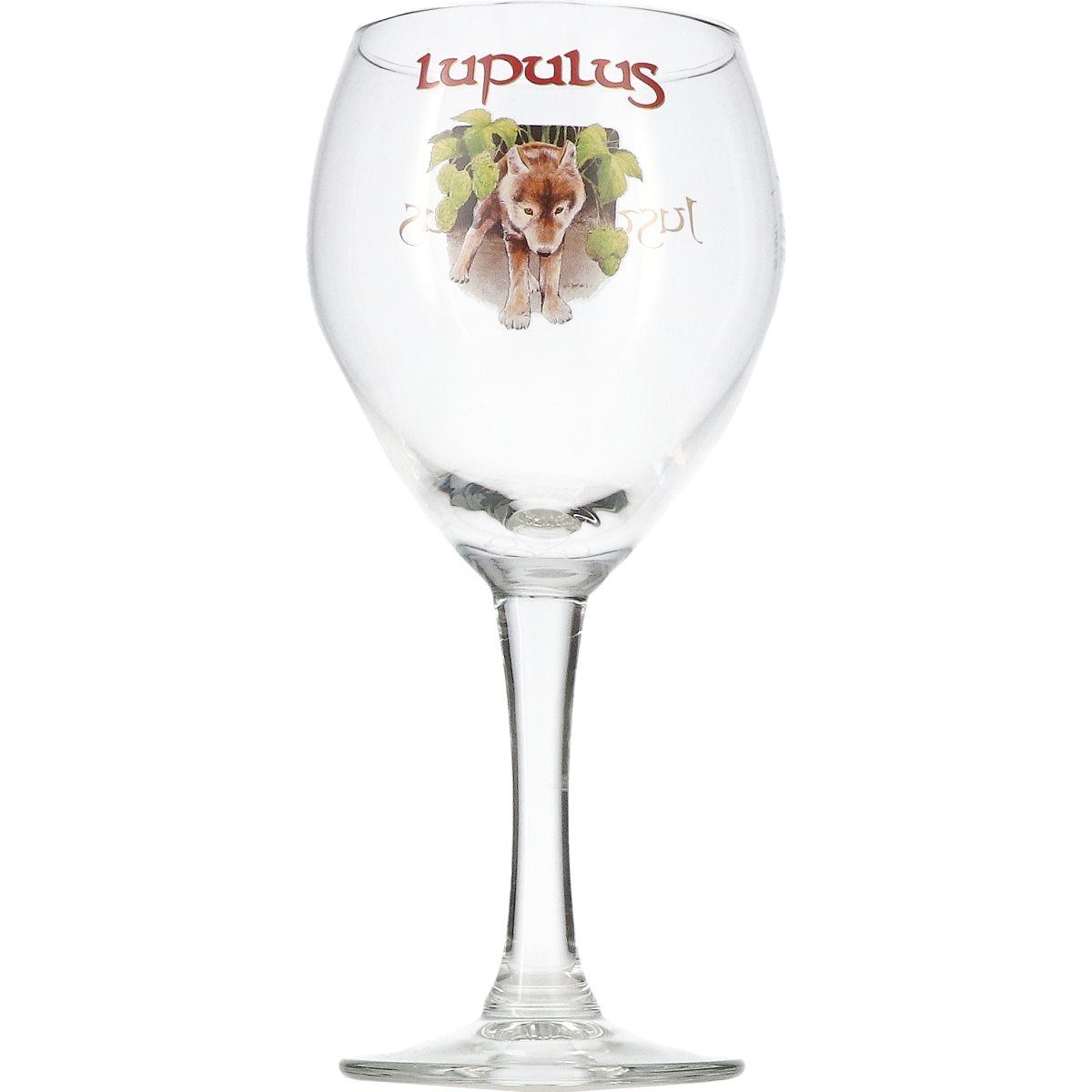 Lupulus Bierbokaal 25 cl