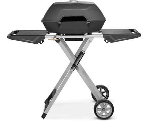 Austin and Barbeque AABQ - Superior Portable 2 Burner Gas Grill