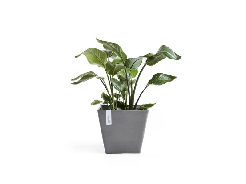 Ecopots Pflanzentopf Rotterdam 40 Grau Blumentopf