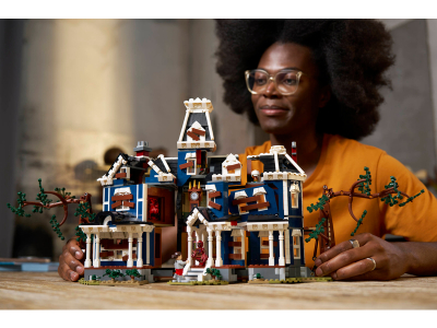 LEGO Stranger Things: Het huis van de familie Creel (11370)