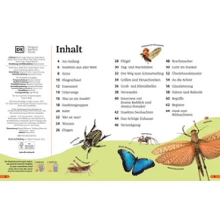 DK Verlag Superchecker! Insekten