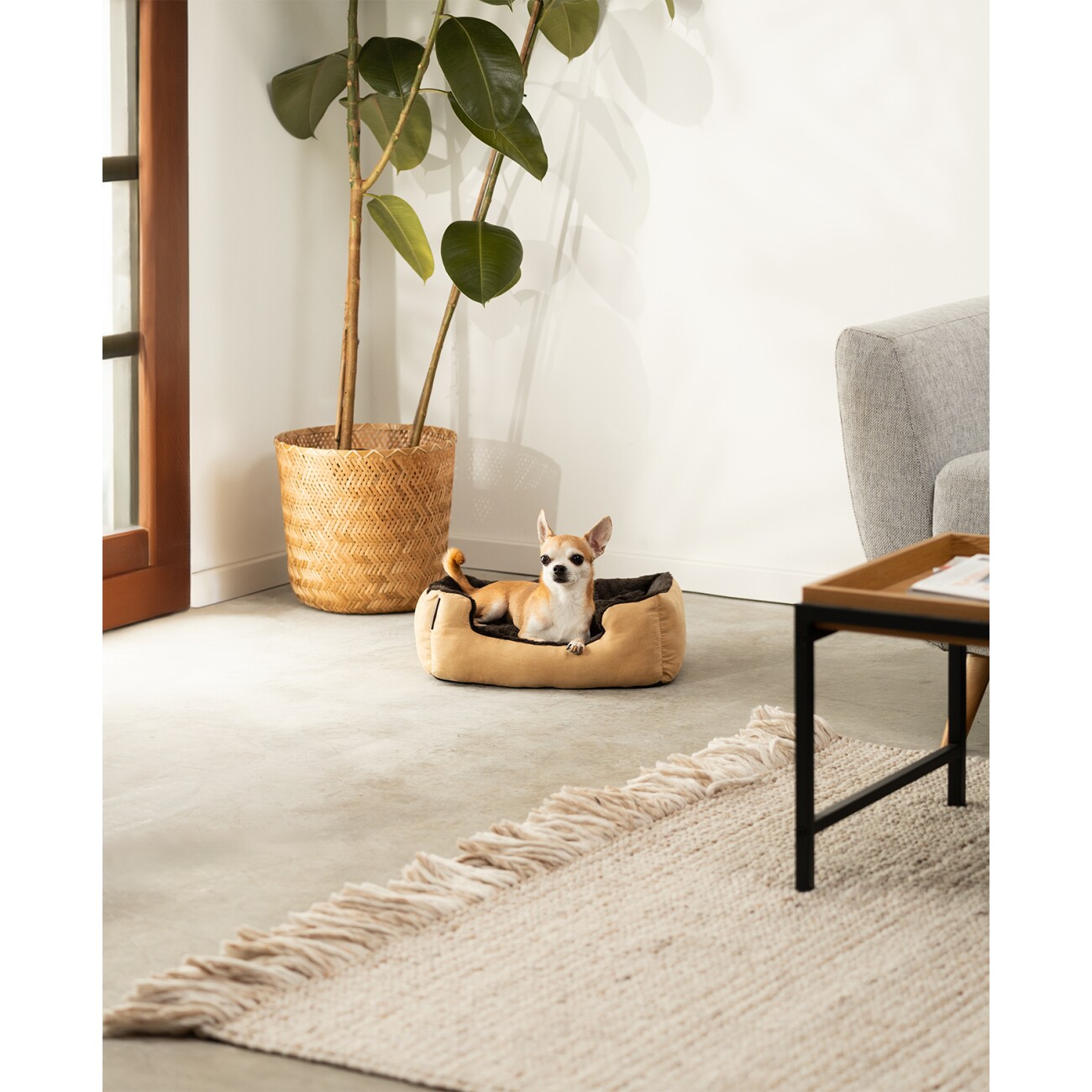 Lionto Hundebett mit Wendekissen braun/ beige S