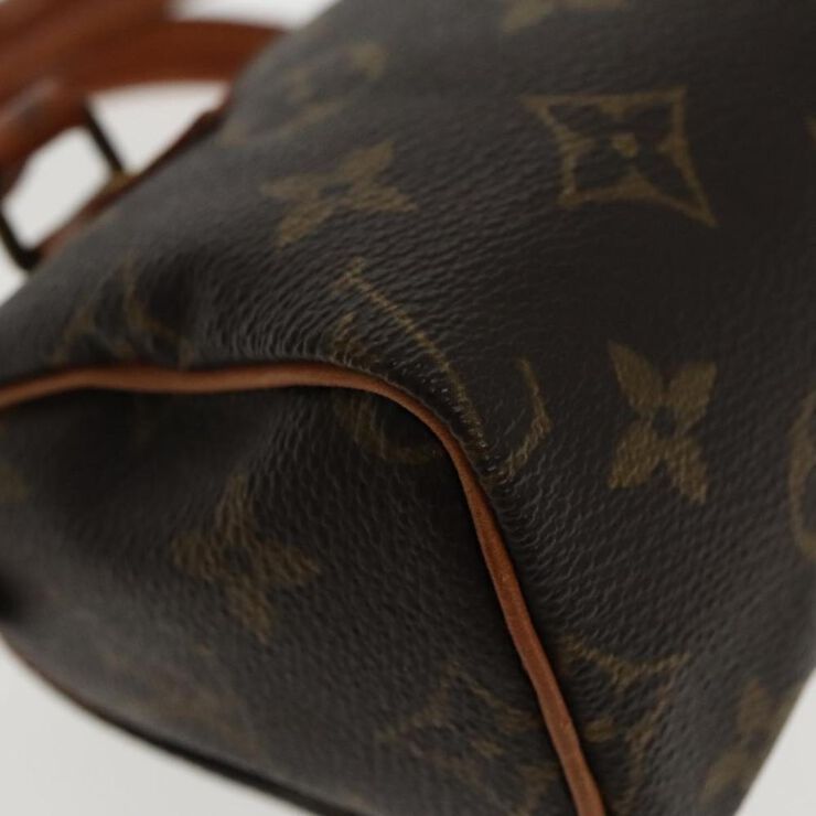 Louis Vuitton Vintage Louis Vuitton Speedy Brown