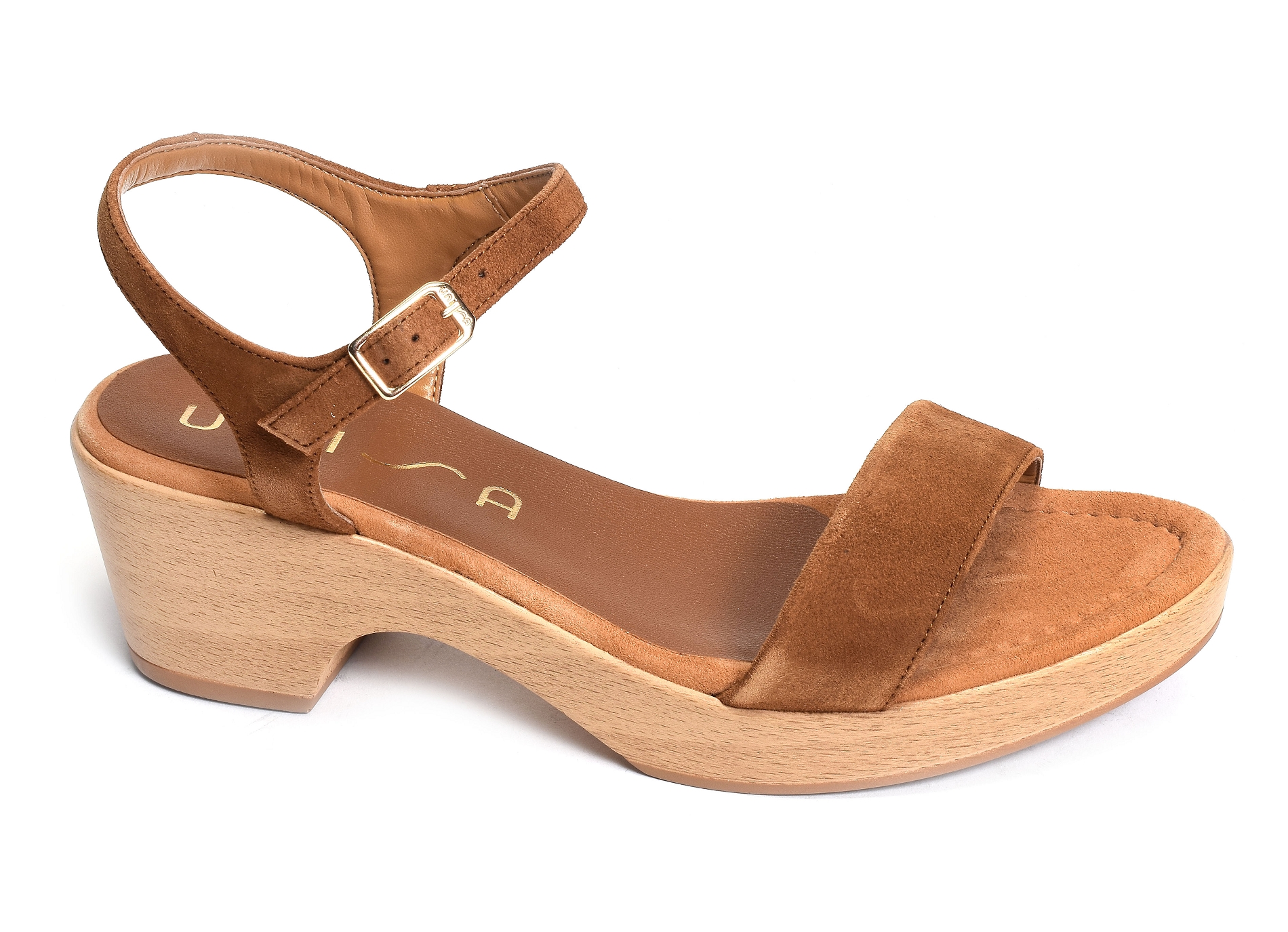 Irita camel