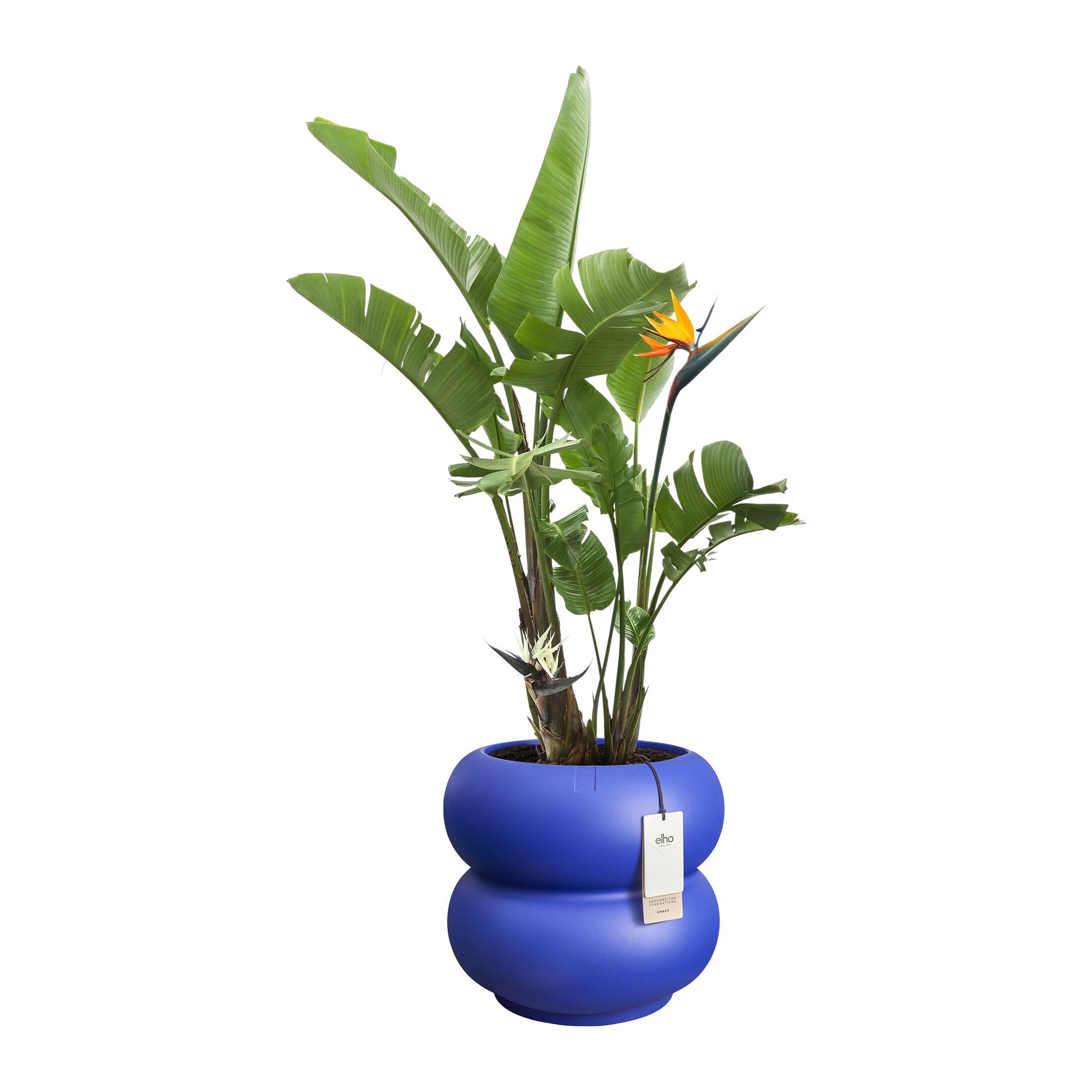 Elho Amber Roll Low 43 - Royal blue - Ã 43 x H 40 cm - Binnen en Buiten - 100% gerecycled kunststof
