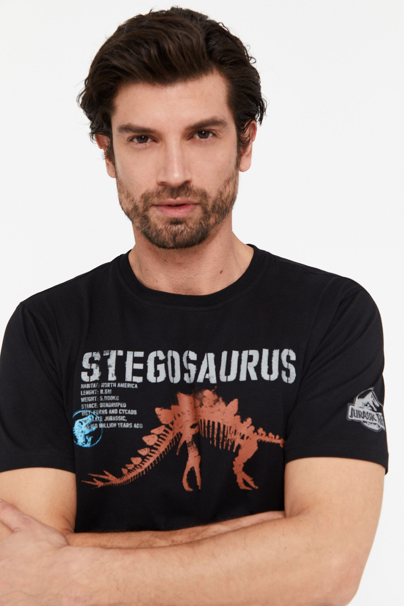 Camiseta gráfica jurassic park - Preto